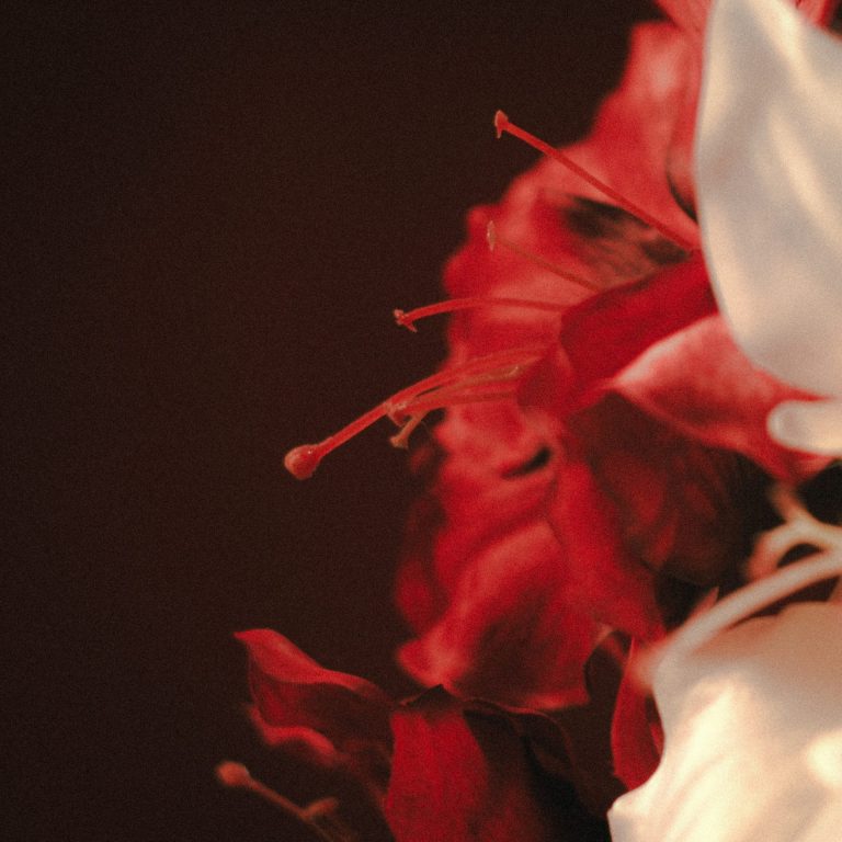 LOST IN EXISTENCE CONFRONT INNER AND OUTER CONFLICTS IN THEIR NEW SINGLE